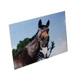 Kevin Milner Countryside Funny Horse Card