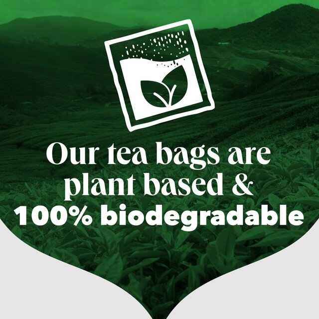 PG Tips Original Biodegradable Tea Bags   160 per pack - McGrocer