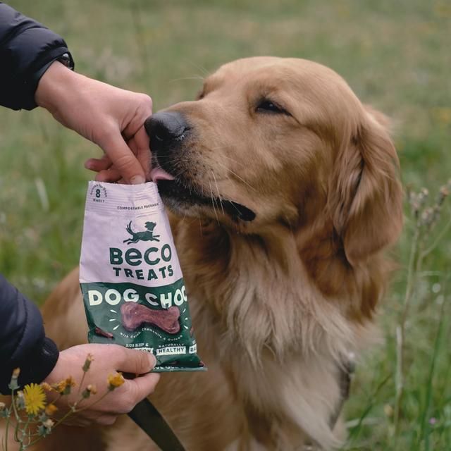 Beco Dog Treats Dog Choc with Carob Chamomile & Quinoa   70g - McGrocer