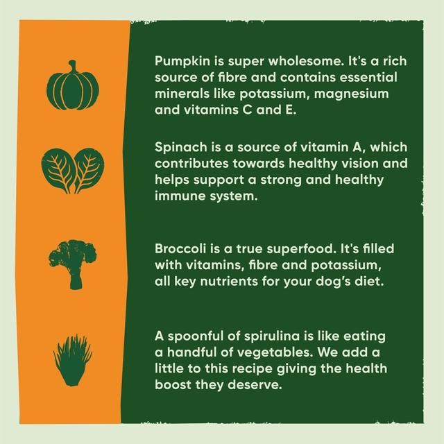 Beco Free Range Turkey with Pumpkin & Spinach Dry Food for Puppies   2kg - McGrocer