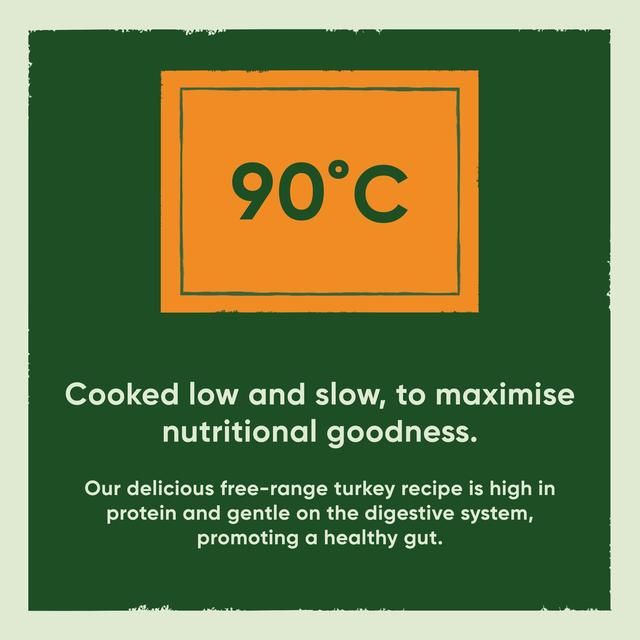 Beco Free Range Turkey with Pumpkin & Spinach Dry Food for Puppies   2kg - McGrocer