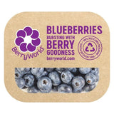 BerryWorld Blueberries   150g - McGrocer