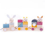 Bigjigs Toys Wooden Activity Pull Along Train - McGrocer