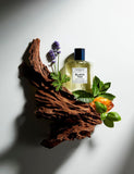 Black Tea Cologne 100ml - McGrocer