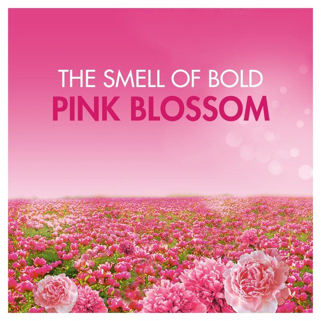 Bold 2in1 Washing Liquid Pink Blossom 60 Washes   2L - McGrocer