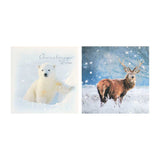 Boots Photographic 12 Pack Chistmas Cards - McGrocer