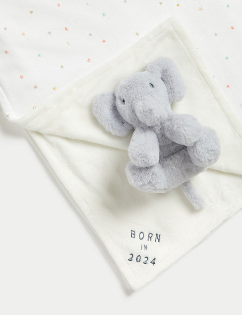 Born In 2024 Soft Toy & Blanket Gift Set