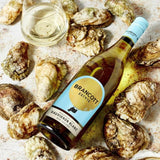 Brancott Estate Classic Sauvignon Blanc   75cl