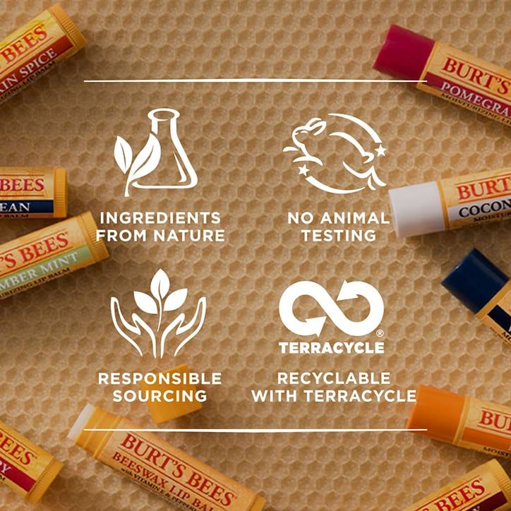 Burt's Bees 100% Natural Lip Balm Honey 4.25g