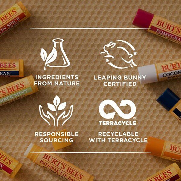 Burt's Bees&amp;reg; 100% Natural Origin Lip Balm Beeswax 4.25g