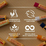 Burt's Bees&amp;reg; 100% Natural Origin Lip Balm Vanilla 4.25g