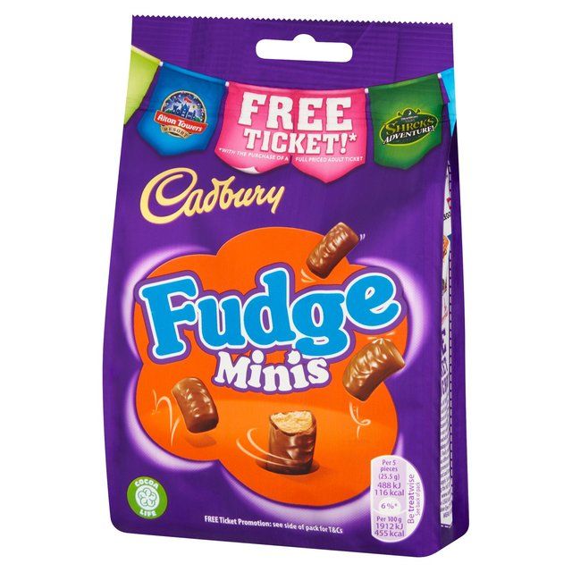 Cadbury Fudge Minis Chocolate Bag   120g