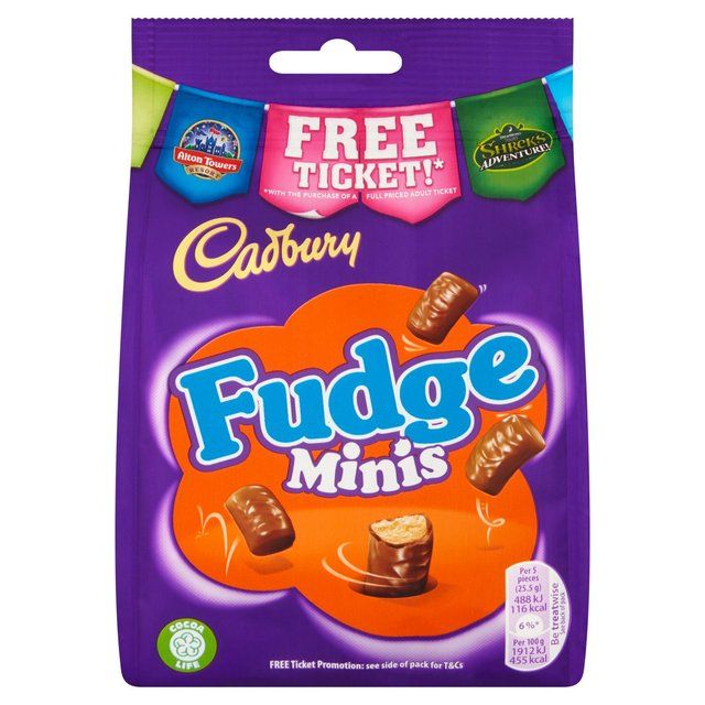 Cadbury Fudge Minis Chocolate Bag   120g