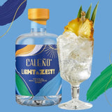 Caleno Light &amp;amp; Zesty Non-Alcoholic Gin Alternative   50cl