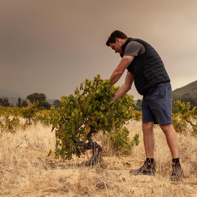 Capeography Cloudscape Paarl Cinsault   75cl