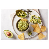 Capsicana Mexican Guacamole Mix Medium   25g