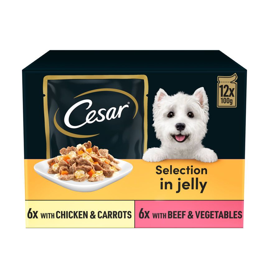 Cesar Deliciously Fresh Dog Food Pouches Mixed Selection in Jelly