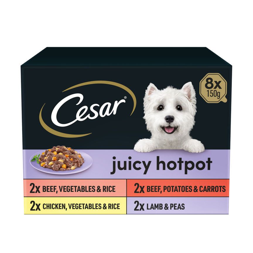 Cesar Juicy Hotpot Adult Wet Dog Food Trays Mixed in Gravy