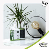 Cheeky Panda Natural Bamboo Facial Tissue   56 per pack