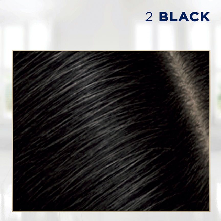 Clairol Root Touch-Up 2 Black Hair Dye