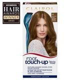 Clairol Root Touch-Up 6G Light Golden Brown Hair Dye