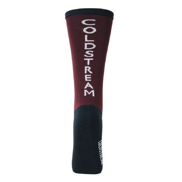 Coldstream Womens Pawston Performance Socks (4-8)