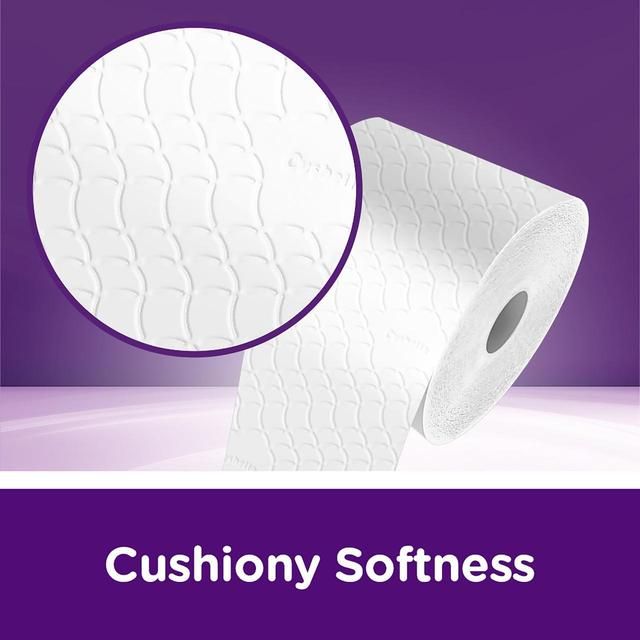 Cushelle Quilted Tubeless Toilet Tissue 6 equals 9 Rolls