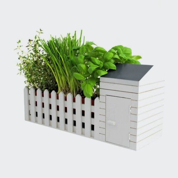 Indoor Allotment Gift Set