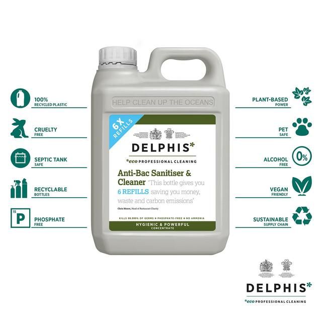 Delphis Eco Anti-Bacterial Sanitiser Spray   2L