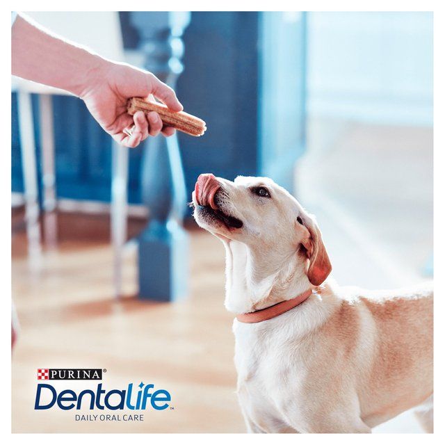 Dentalife Large Dental Chicken Dog Chews   12 per pack