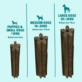 Denzel's Daily Dental Medium Dogs Chicken Peppermint &amp;amp; Decaf Green Tea   100g