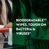 Dettol Antibacterial Multipurpose Lime &amp;amp; Mint Wipes   3 x 110 per pack