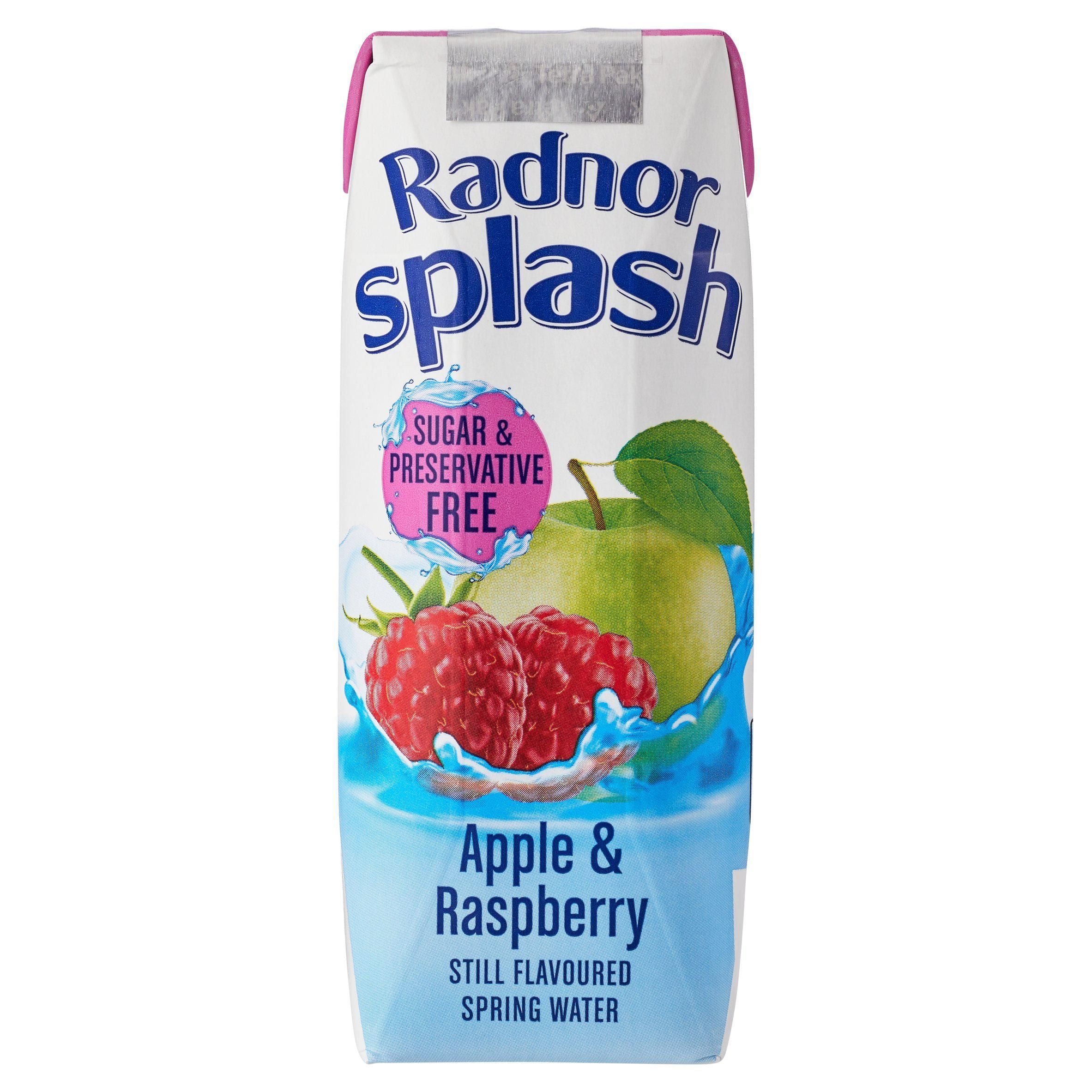 Radnor Splash Apple & Raspberry Still Flavoured Spring Water 250ml GOODS Sainsburys   