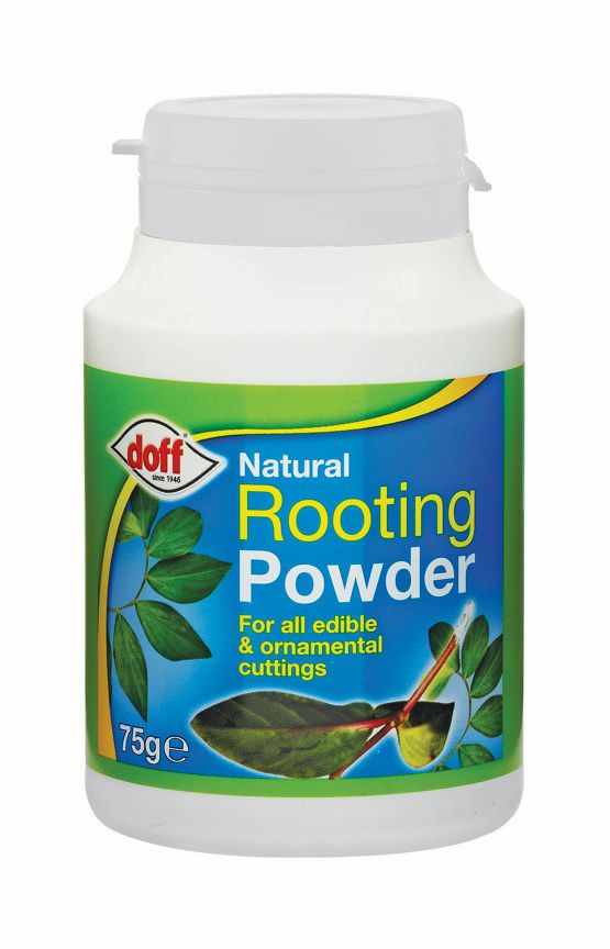 DOFF Natural Rooting Powder