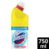 Domestos Thick Bleach Citrus Fresh    750ml