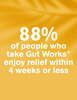 DR.VEGAN Gut Works&amp;reg; | 30 Day Supply | 1 Capsule Per Day