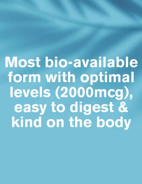 DR.VEGAN Vitamin B12 | 30 Day Supply | 1 Capsule Per Day