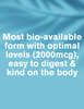 DR.VEGAN Vitamin B12 | 30 Day Supply | 1 Capsule Per Day