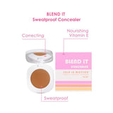 Skin In Motion - Blend It Concealer 3.5g GOODS Superdrug   