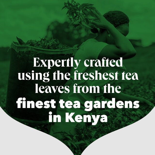PG Tips Original Biodegradable Tea Bags   160 per pack - McGrocer