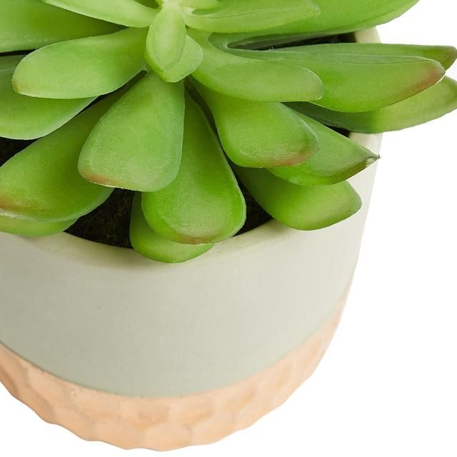 M&S Artificial Succulent in Metallic Pot 21X43.8cm Tableware & Kitchen Accessories M&S   