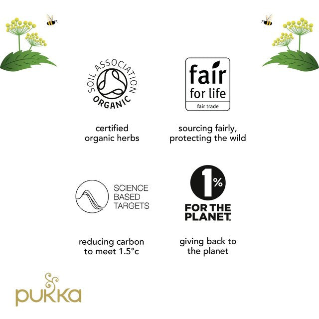 Pukka Organic Three Mint Tea 20 Home Compostable Herbal Tea Bags 32g   20 per pack - McGrocer