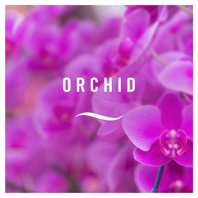 Febreze 3Volution Air Freshener Zero% Starter Kit Orchid   20ml