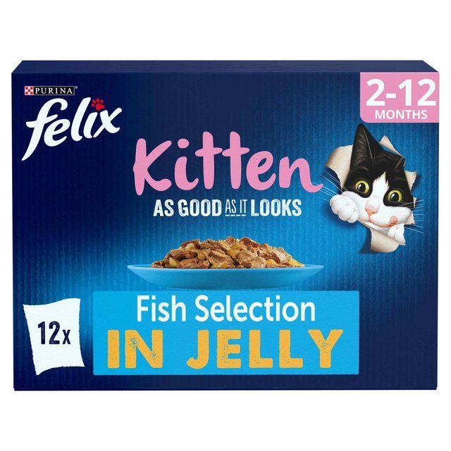 Felix As Good As it Looks Kitten Fish in Jelly Wet Cat Food   12 x 100g