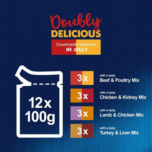 Felix Doubly Delicious Meat Selection in Jelly Wet Cat Food   12 x 100g