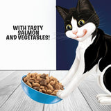 Felix Doubly Delicious Salmon &amp;amp; Vegetables Dry Cat Food   750g