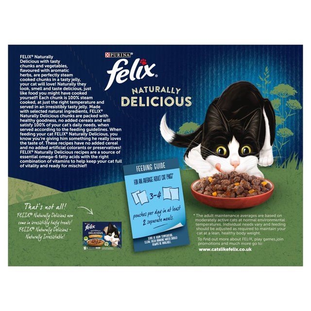 Felix Naturally Delicious Countryside Selection Wet Cat Foody   12 x 80g