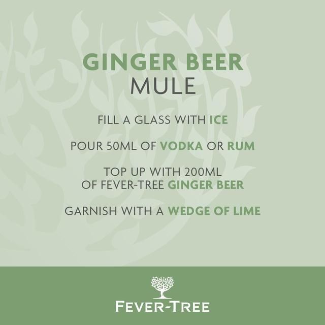 Fever-Tree Premium Ginger Beer   4 x 200ml