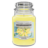 Yankee Candle Home Inspiration Lemon Lime Popsicle Large Jar GOODS Sainsburys   