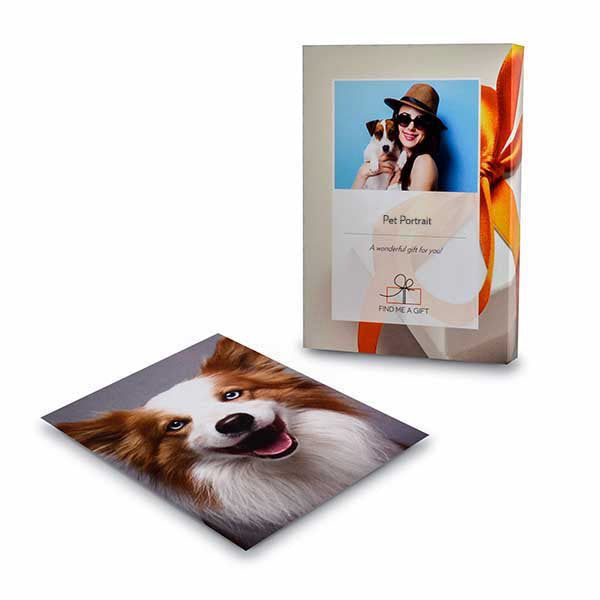 Find Me a Gift Pet Portrait Gift Experience